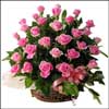 Hearty Thanx - Click here to View more details about this Product